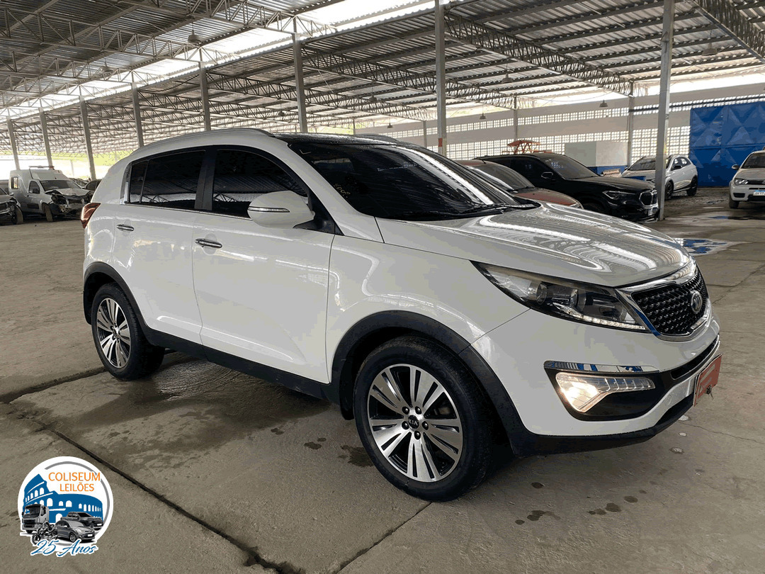 LOTE 015 - Sportage EX 2.0 16V 2015 